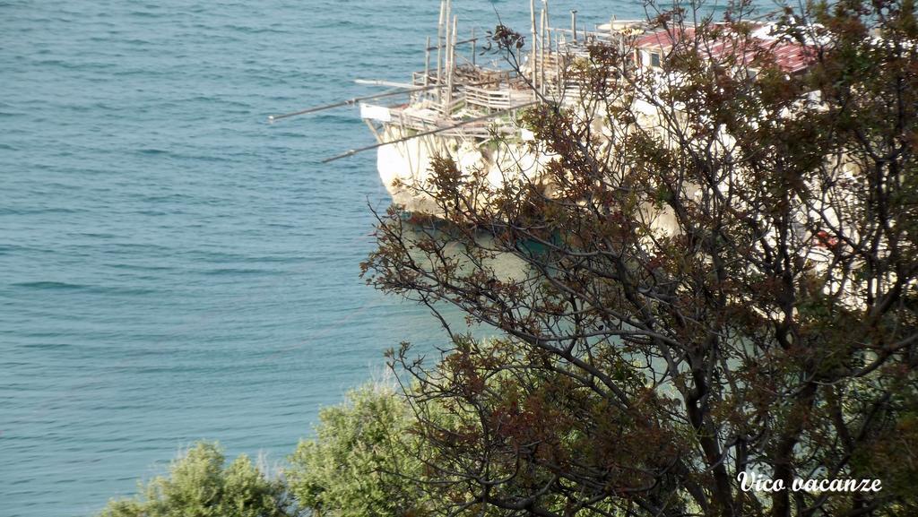 B&B Vico Vacanze Vico Del Gargano Exteriér fotografie