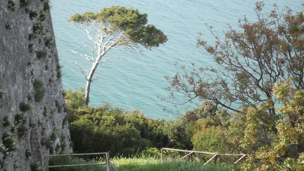 B&B Vico Vacanze Vico Del Gargano Exteriér fotografie