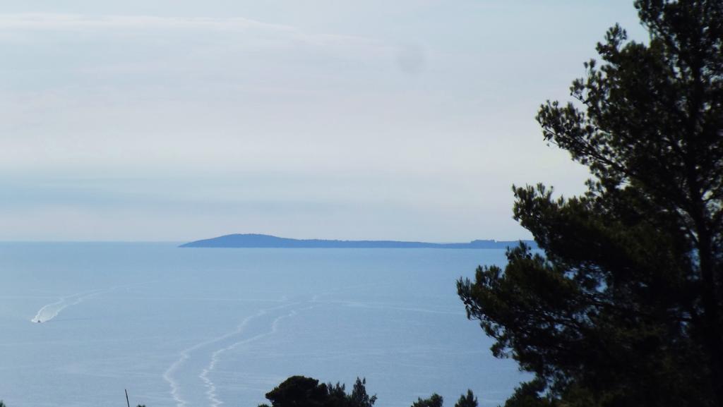 B&B Vico Vacanze Vico Del Gargano Exteriér fotografie