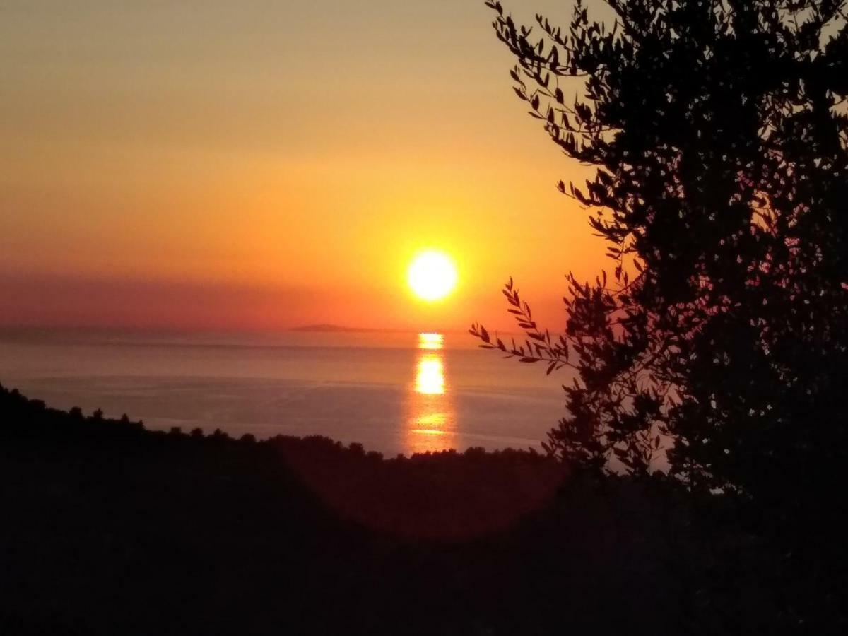 B&B Vico Vacanze Vico Del Gargano Exteriér fotografie